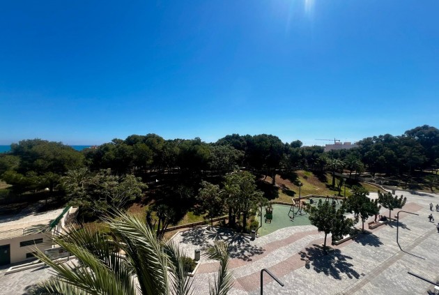 Apartamento / piso - Alquiler a largo plazo - Guardamar del Segura -
                Pueblo