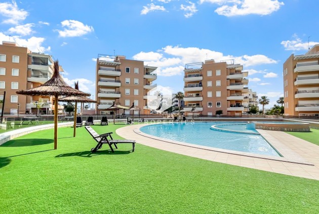 Apartamento / piso - Segunda mano - Guardamar del Segura -
                Costa Blanca