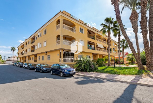 Apartment / flat - Resale - Jacarilla -
                Inland