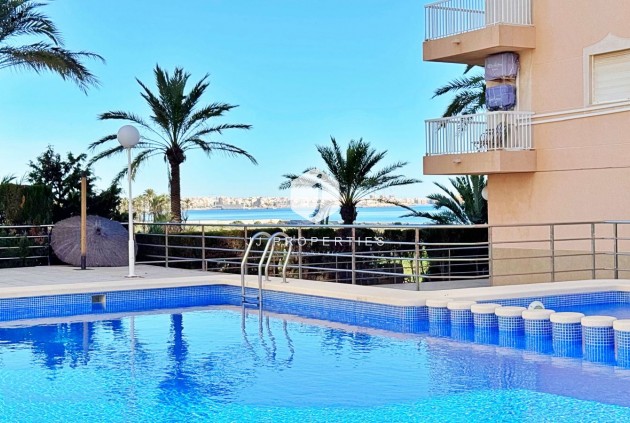 Apartment / flat - Resale -
            Torrevieja - C-53914