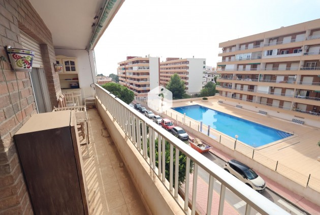 Appartement / flat - Tweedehands - Torrevieja -
                Costa Blanca