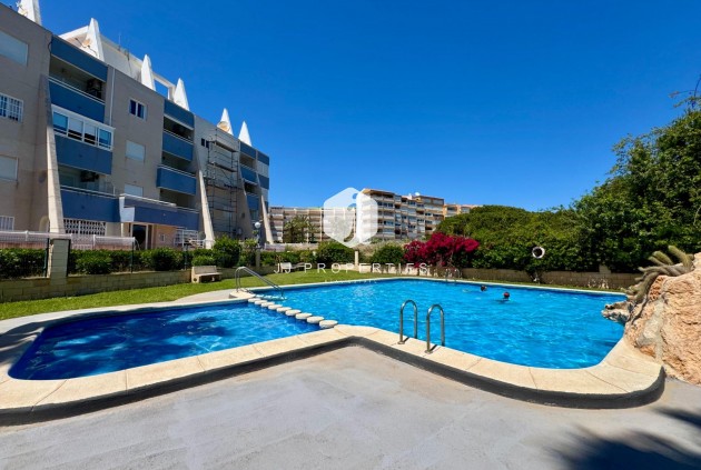 Appartement / flat - Tweedehands - Torrevieja -
                Gaspar Perrelló