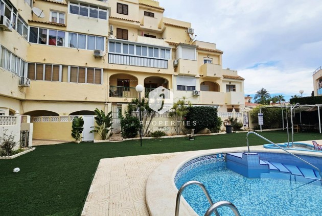 Appartement / flat - Tweedehands - Torrevieja -
                Nueva Torrevieja