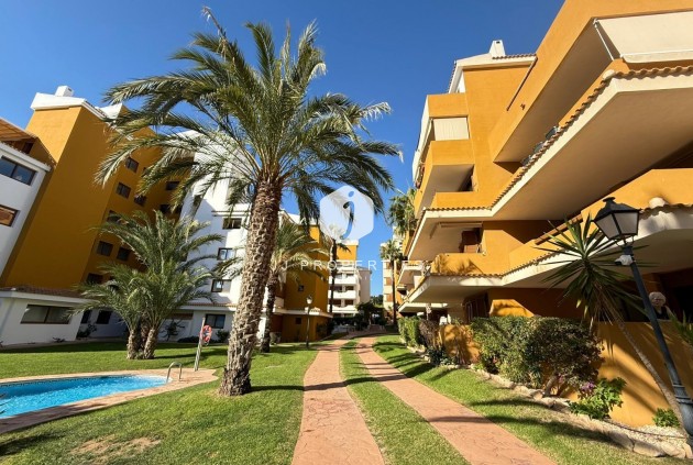 Appartement / flat - Tweedehands - Torrevieja -
                Punta prima