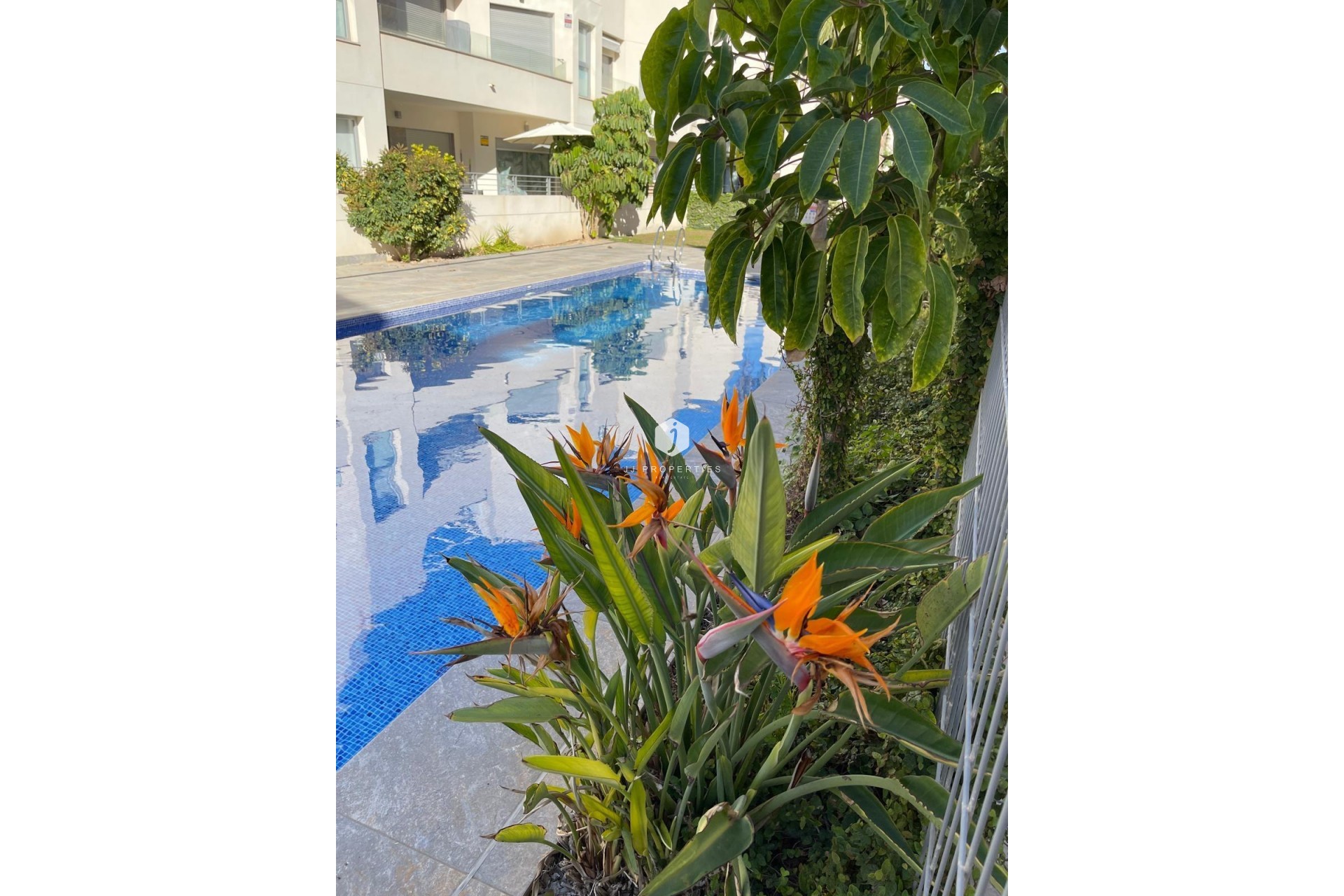 Aus zweiter Hand - Bungalow -
Torrevieja - Costa Blanca