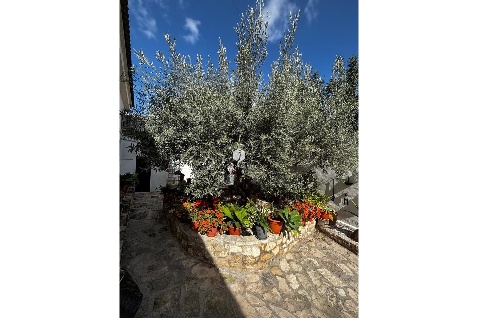 Aus zweiter Hand - Chalet -
Benejúzar - Comunidad Valenciana