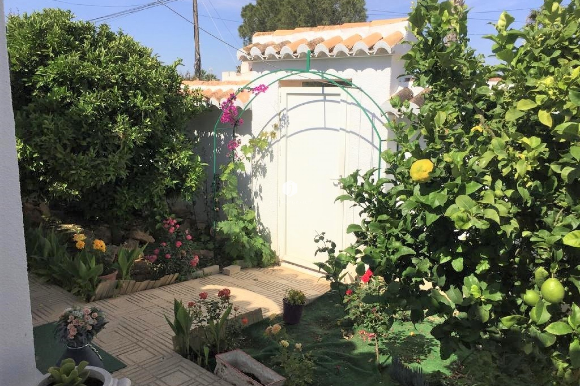 Aus zweiter Hand - Chalet -
Torrevieja - Costa Blanca