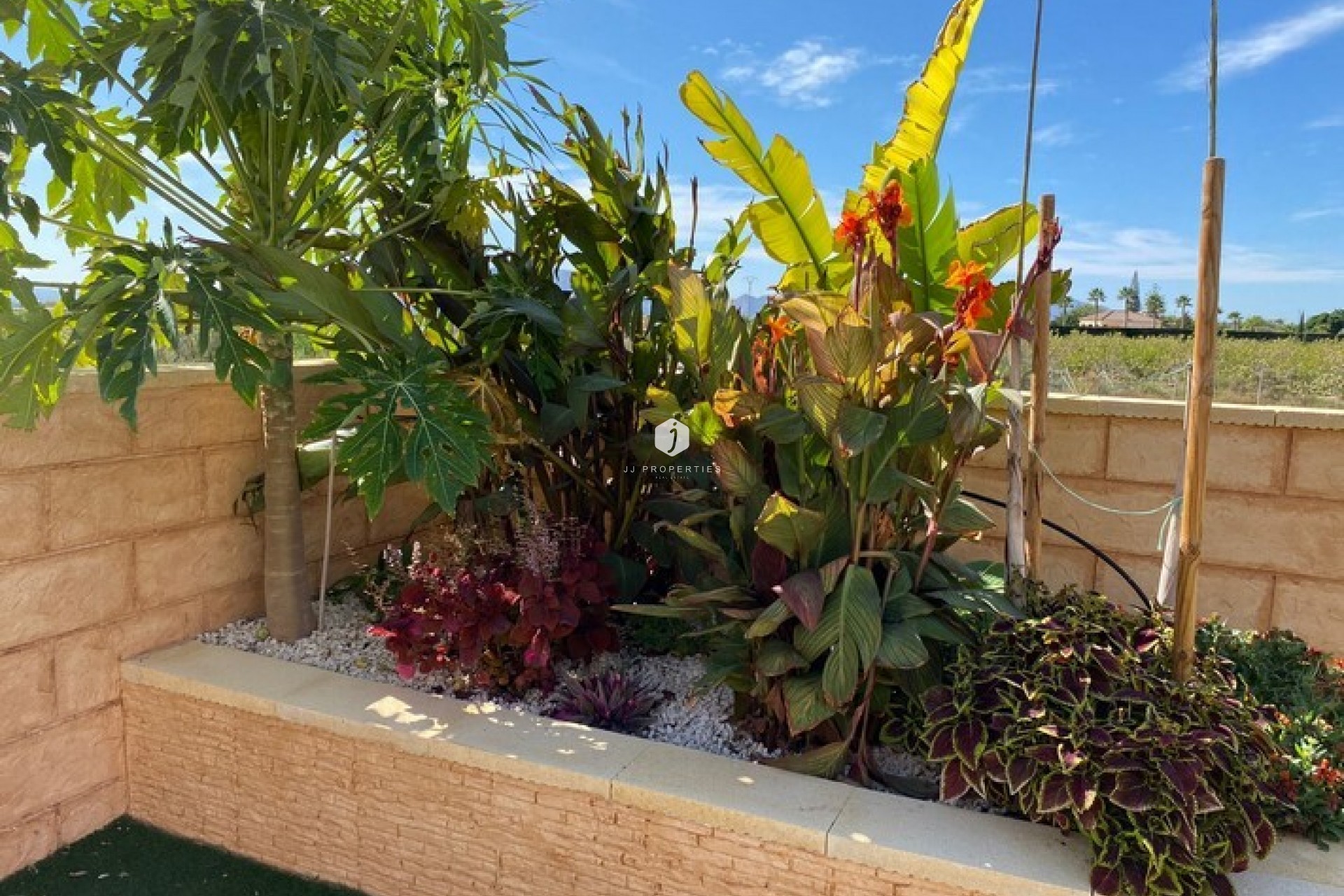 Aus zweiter Hand - Landgut -
Albatera - Inland