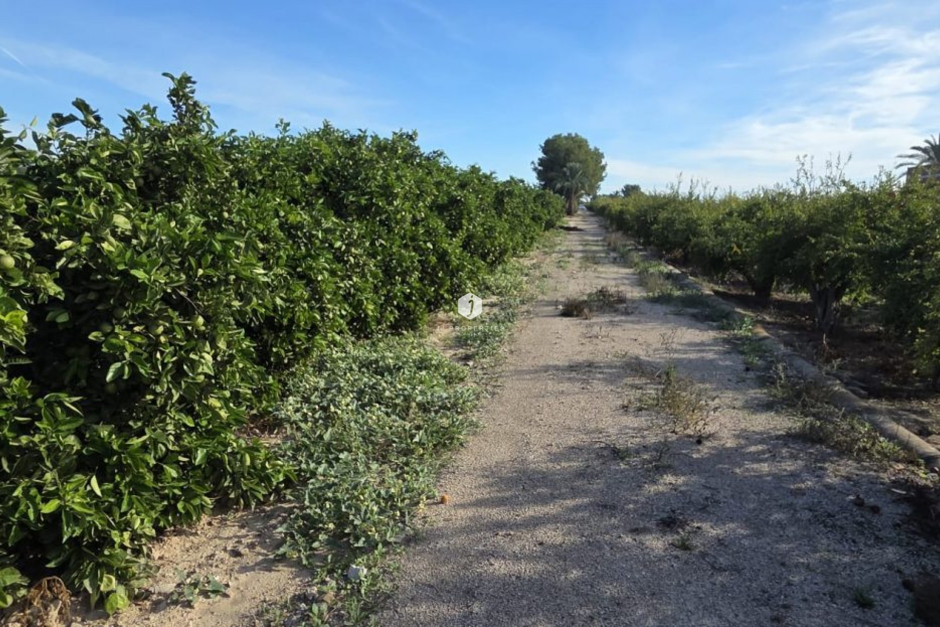 Aus zweiter Hand - Landgut -
Albatera - Inland
