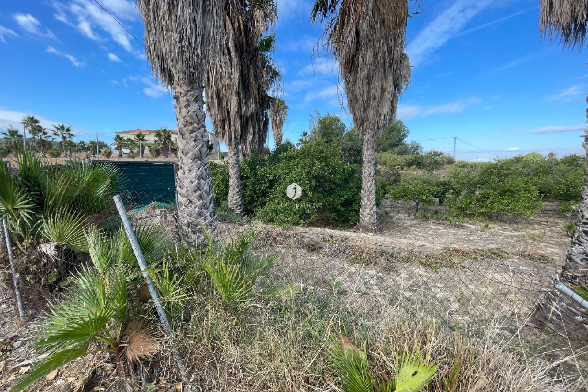 Aus zweiter Hand - Landgut -
Jacarilla - Inland