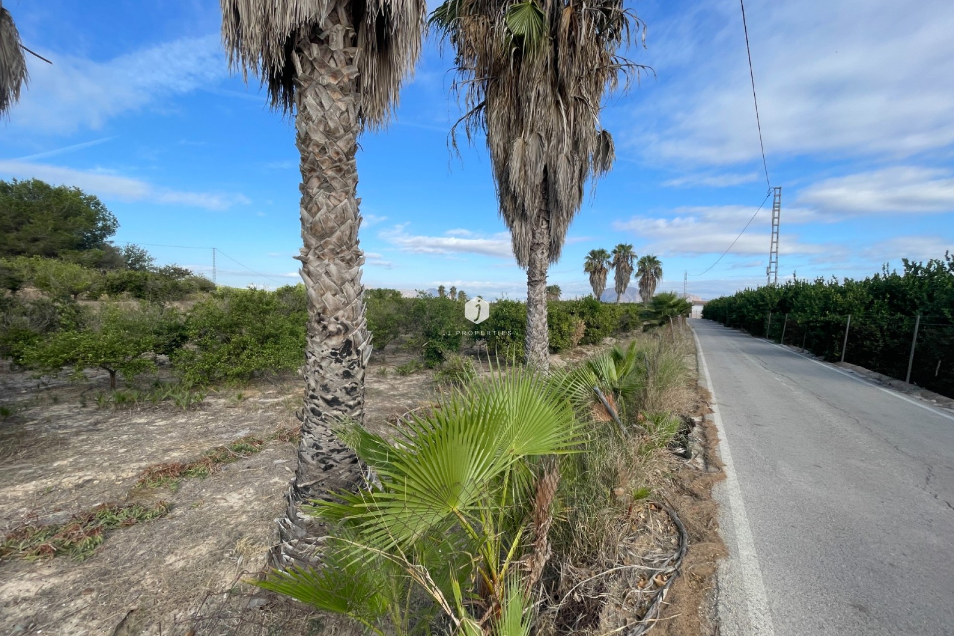 Aus zweiter Hand - Landgut -
Jacarilla - Inland
