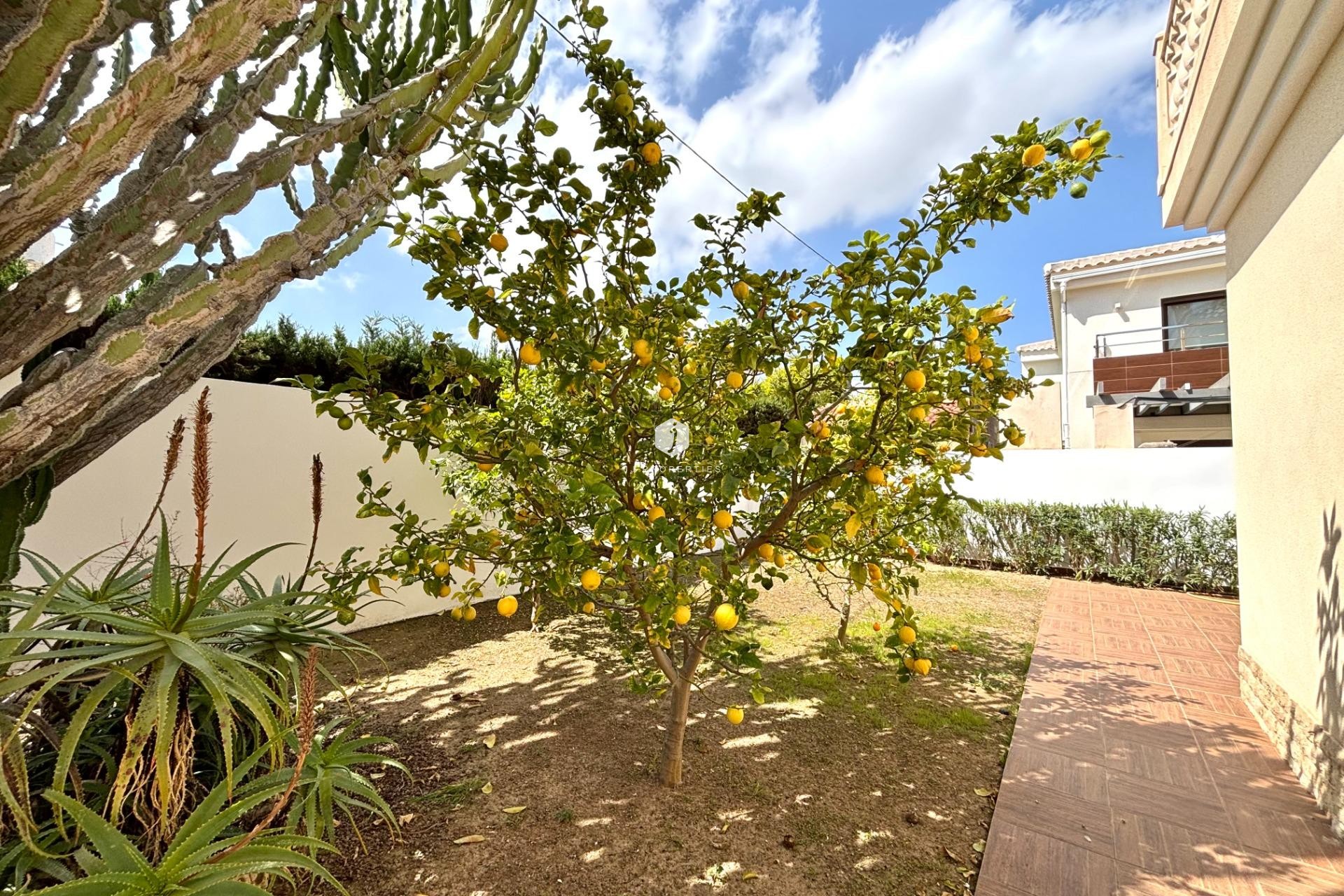 Aus zweiter Hand - Villa -
Cabo Roig - Costa Blanca