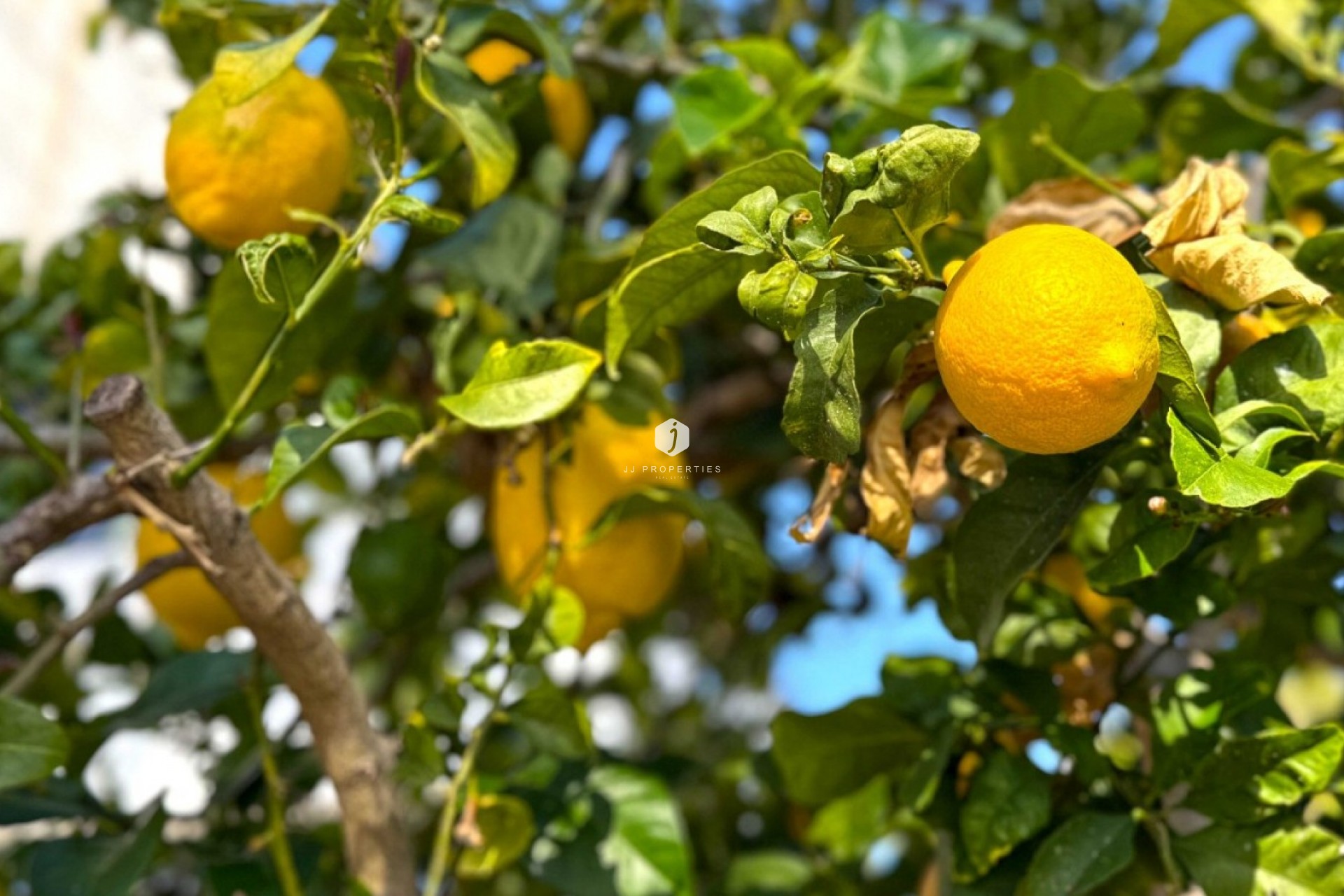 Aus zweiter Hand - Villa -
Orihuela Costa - Costa Blanca