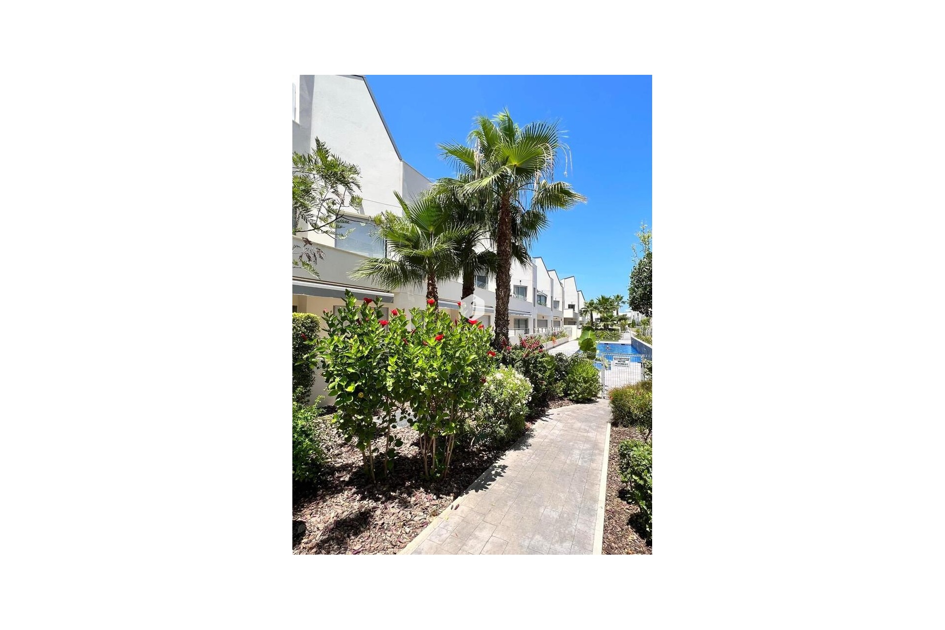 Aus zweiter Hand - Wohnung -
Torrevieja - Costa Blanca