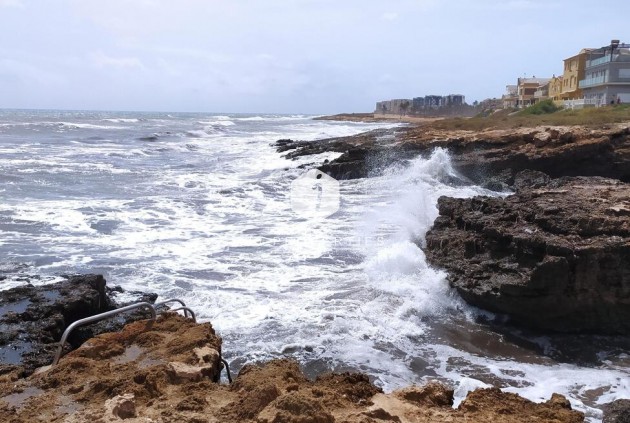 Bungalow - Segunda mano - Torrevieja -
                LA VELETA MAR AZUL