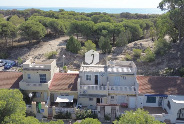 Chalet - Segunda mano -
            Guardamar del Segura - C-88303