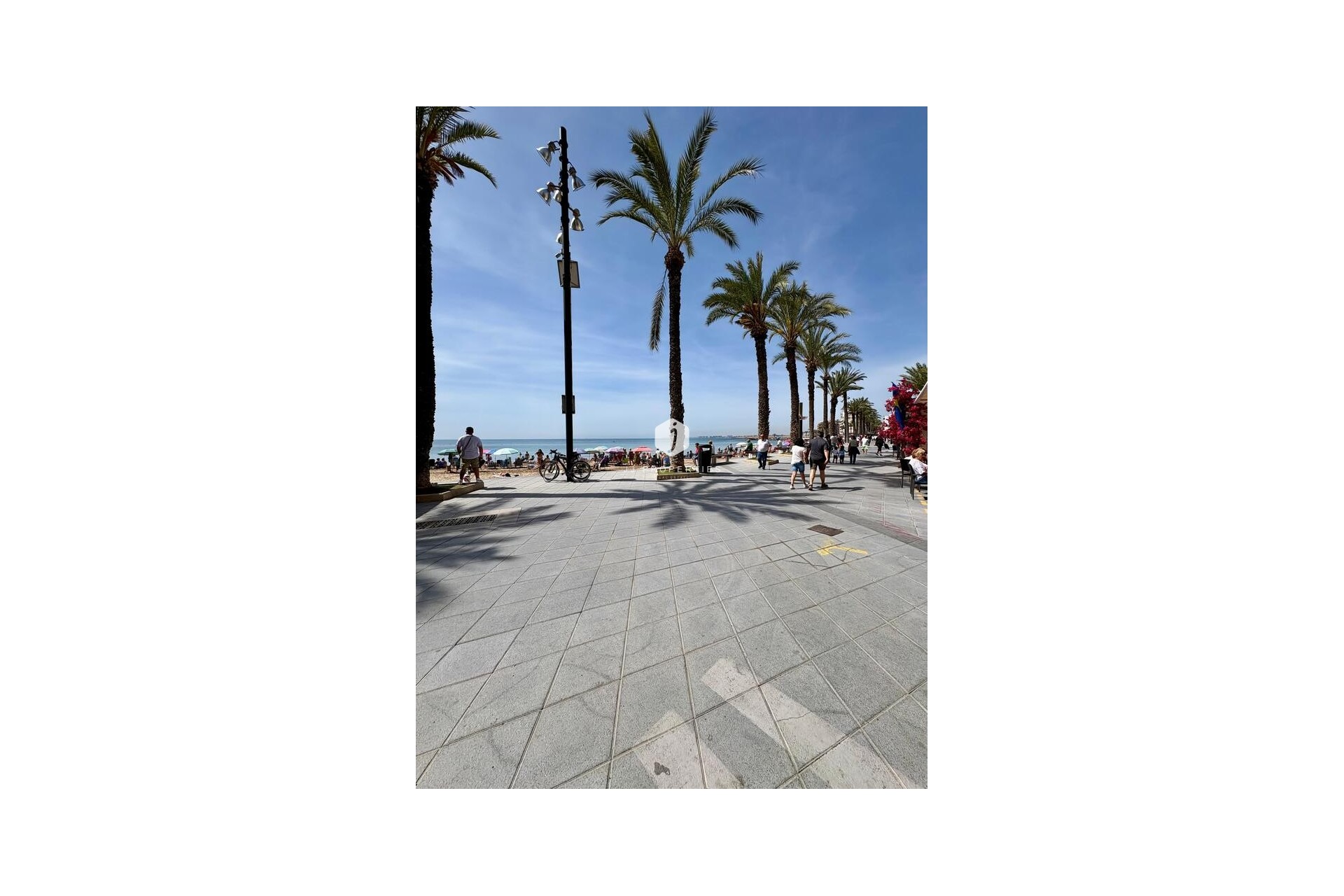 D'occasion - Appartement -
Torrevieja - Costa Blanca