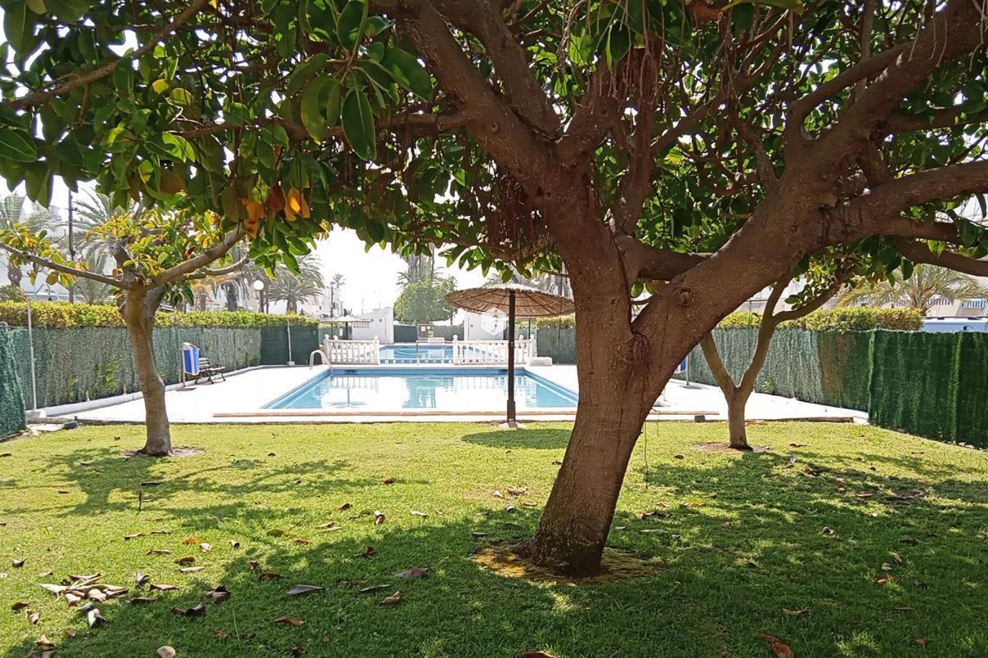 D'occasion - Appartement -
Torrevieja - MAR AZUL LA VELETA