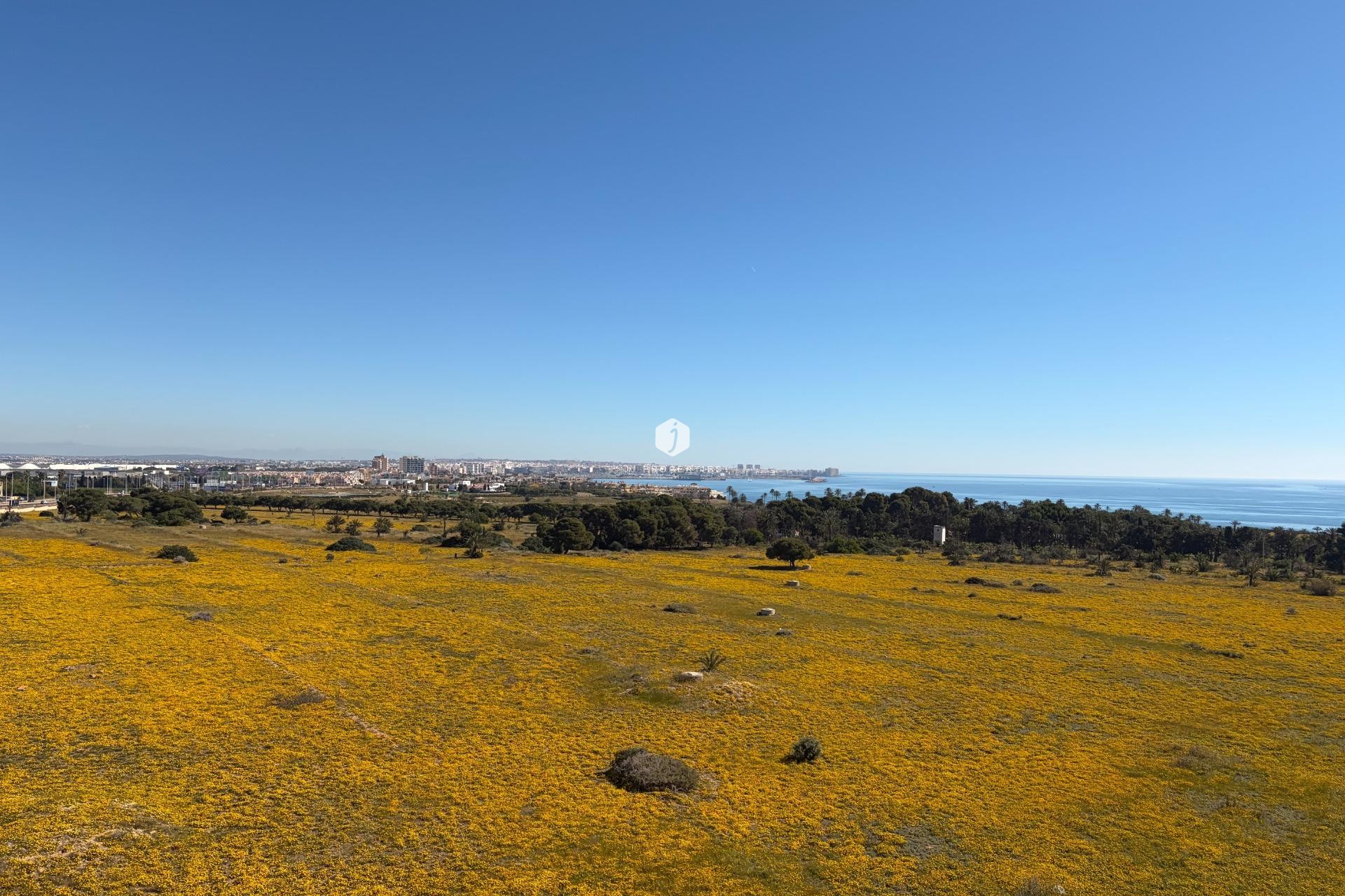 D'occasion - Attique -
Torrevieja - Punta prima