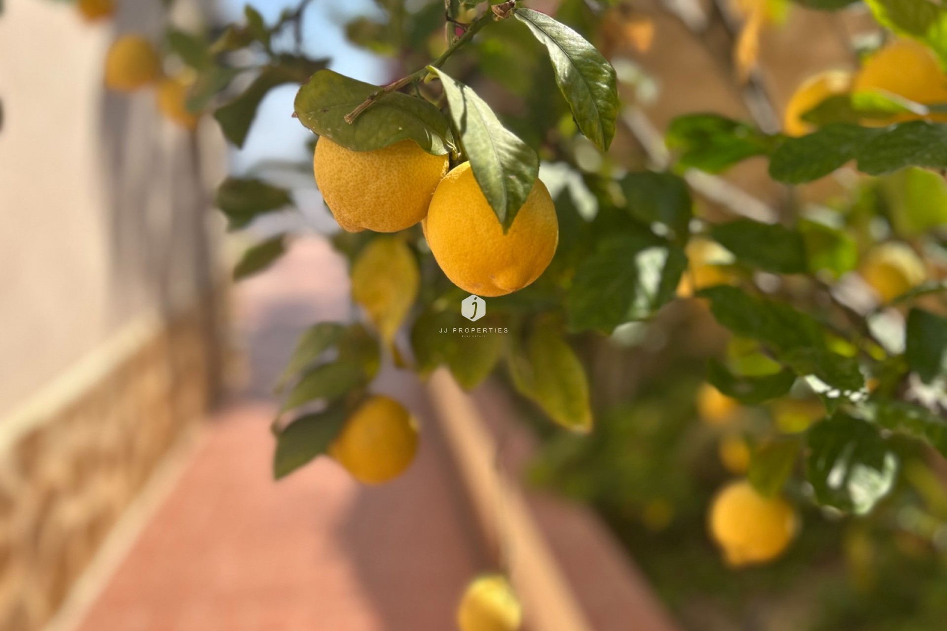 D'occasion - Villa -
Algorfa - Inland