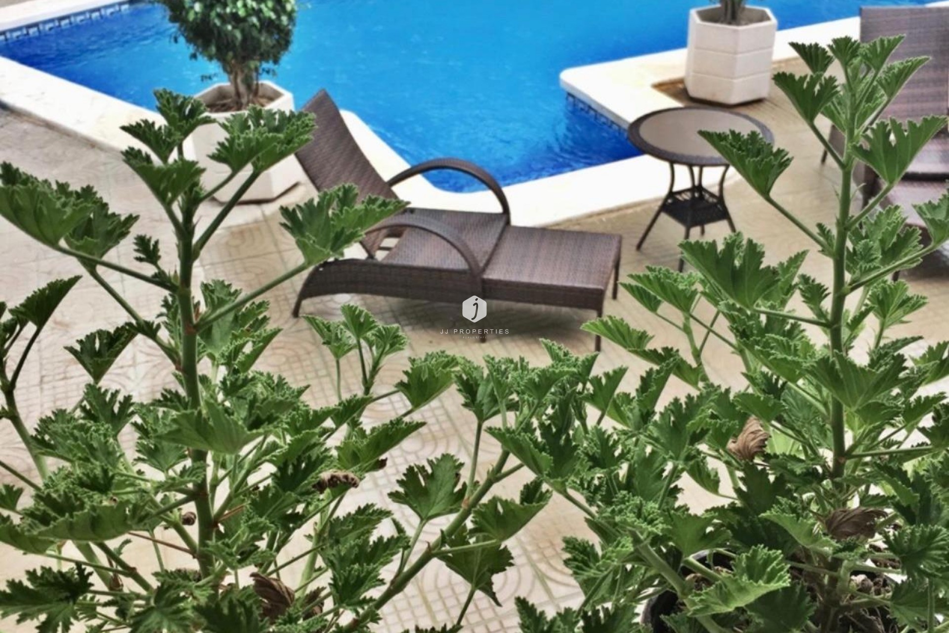 D'occasion - Villa -
Ciudad Quesada - Ciudad Quesada - Doña Pepa