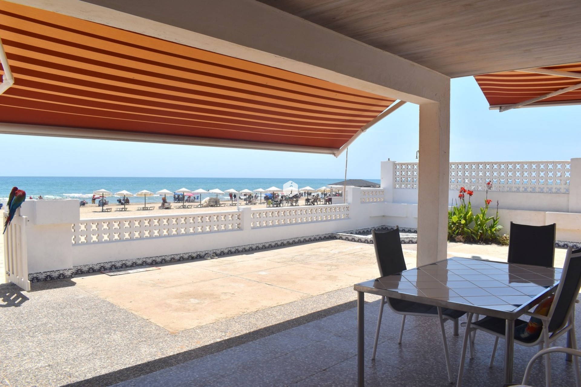 D'occasion - Villa -
Guardamar del Segura - Costa Blanca