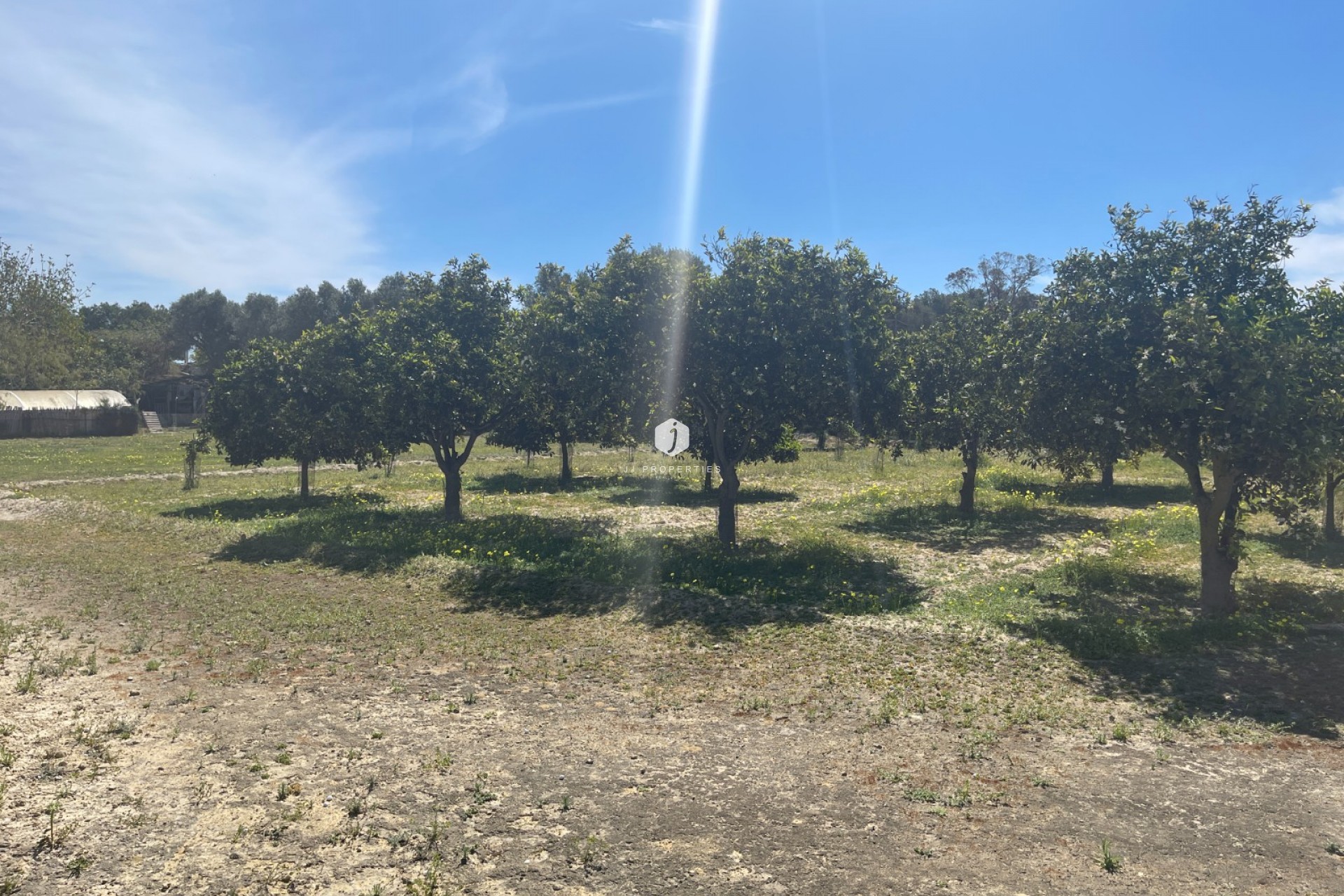 D'occasion - Villa -
Guardamar del Segura - Costa Blanca