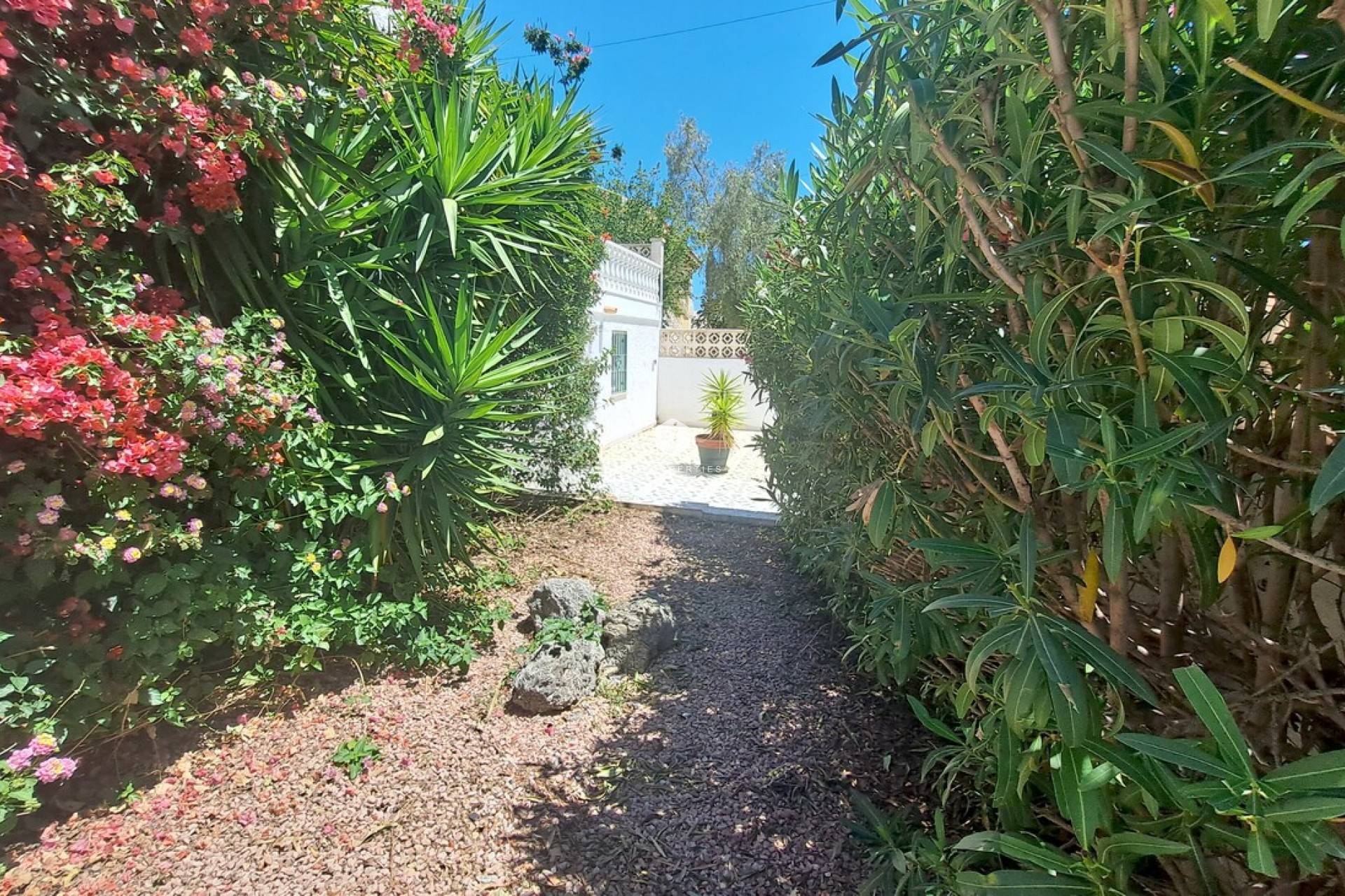 D'occasion - Villa -
San Miguel de Salinas - Inland