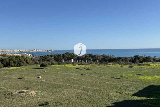 Daszek - Z drugiej ręki - Punta Prima -
                Costa Blanca