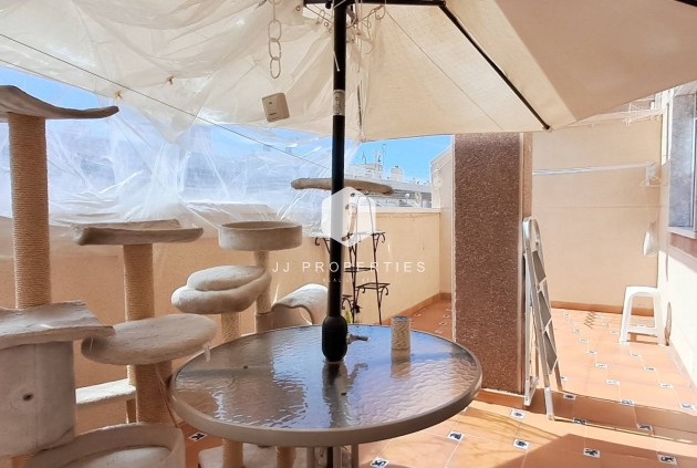 Daszek - Z drugiej ręki - Torrevieja -
                Torrevieja