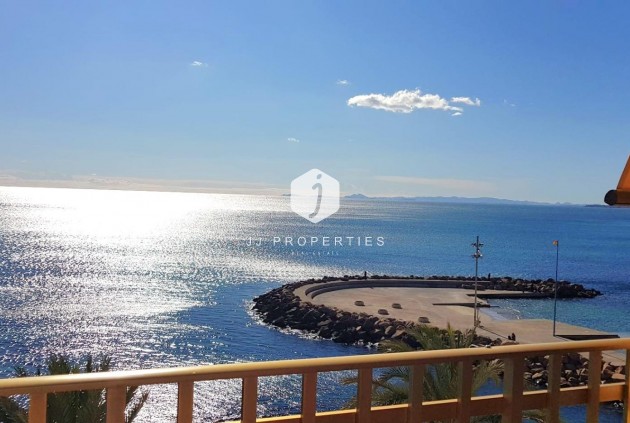 Mieszkanie w bloku - Z drugiej ręki - Torrevieja -
                Estacion de autobuses