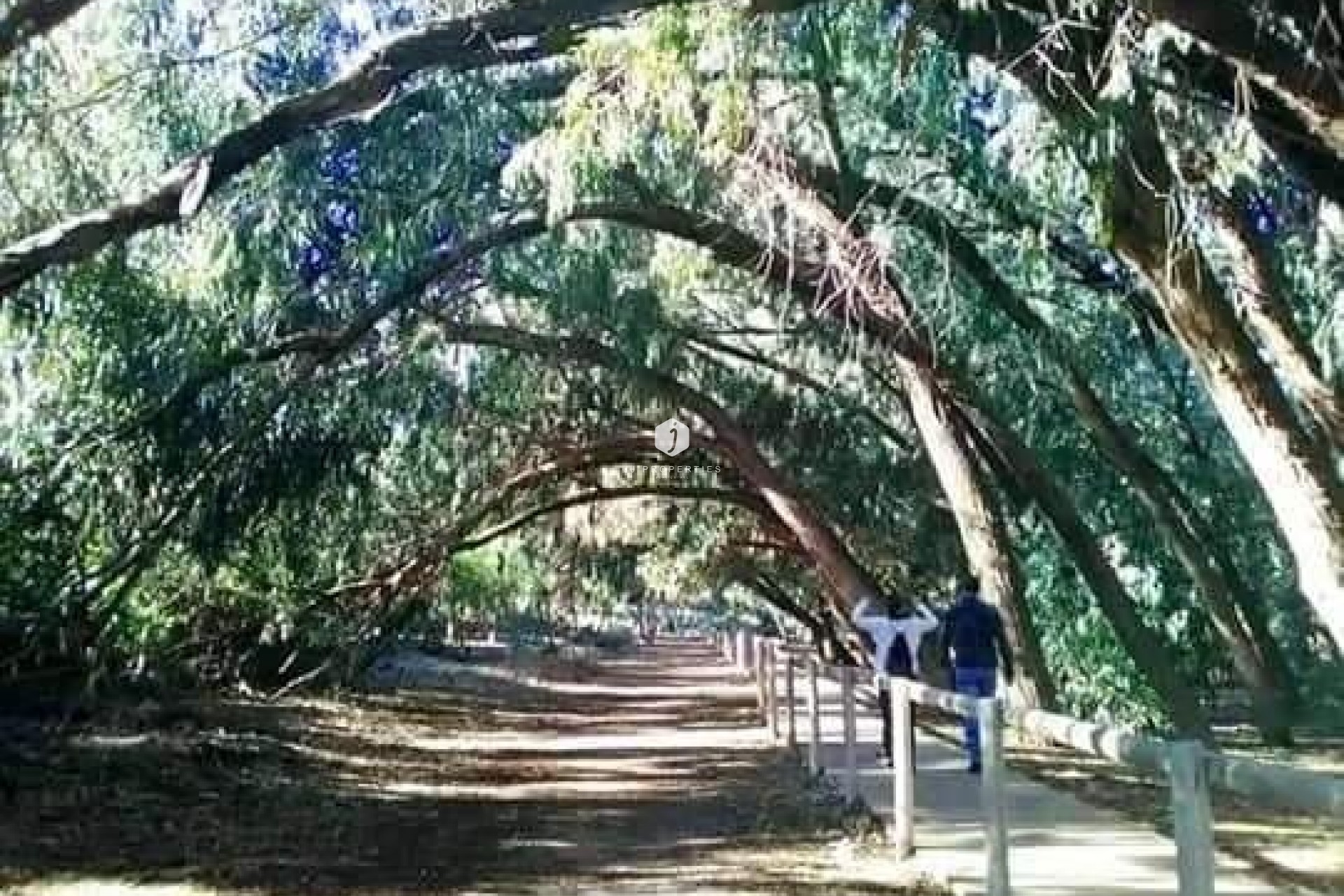 Neue Gebäude - Bungalow -
Torrevieja - Altos del Sol