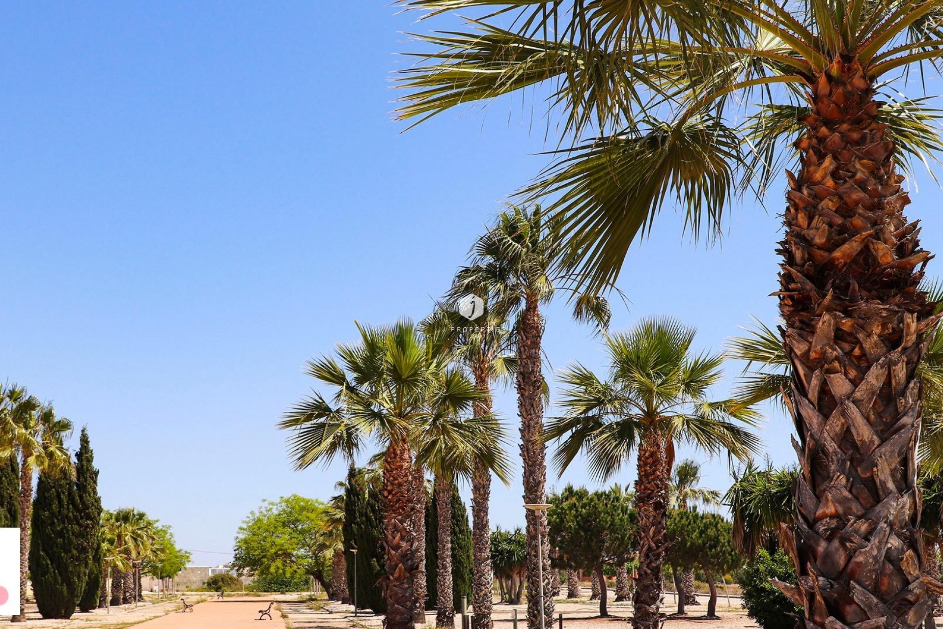 Nieuwbouw Woningen - Villa -
San Fulgencio - La Escuera