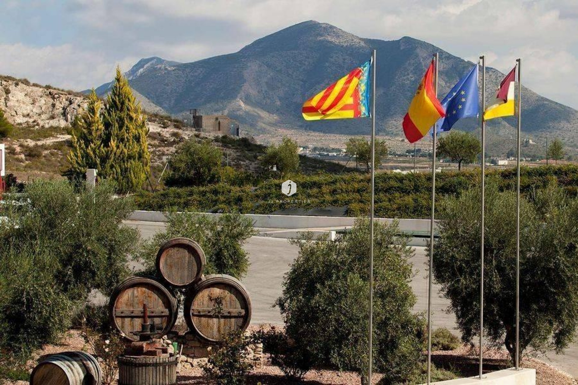 Nowy budynek - Villa -
Pinoso - Lel