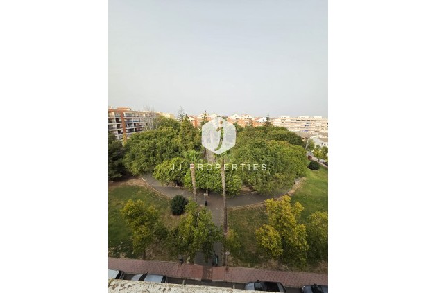 Penthouse - Resale - Torrevieja -
                Costa Blanca