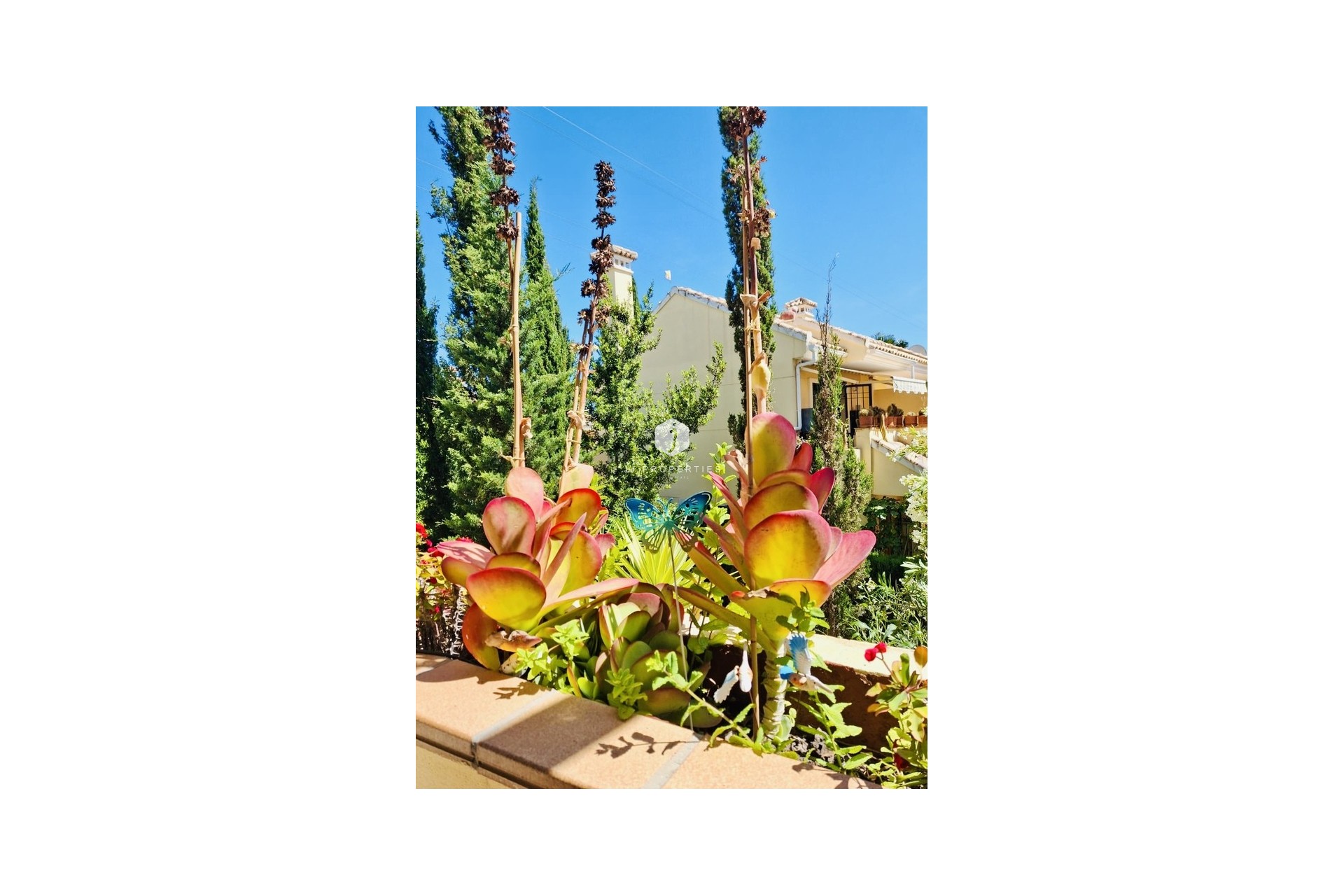 Resale - Apartment / flat -
Orihuela Costa - Costa Blanca