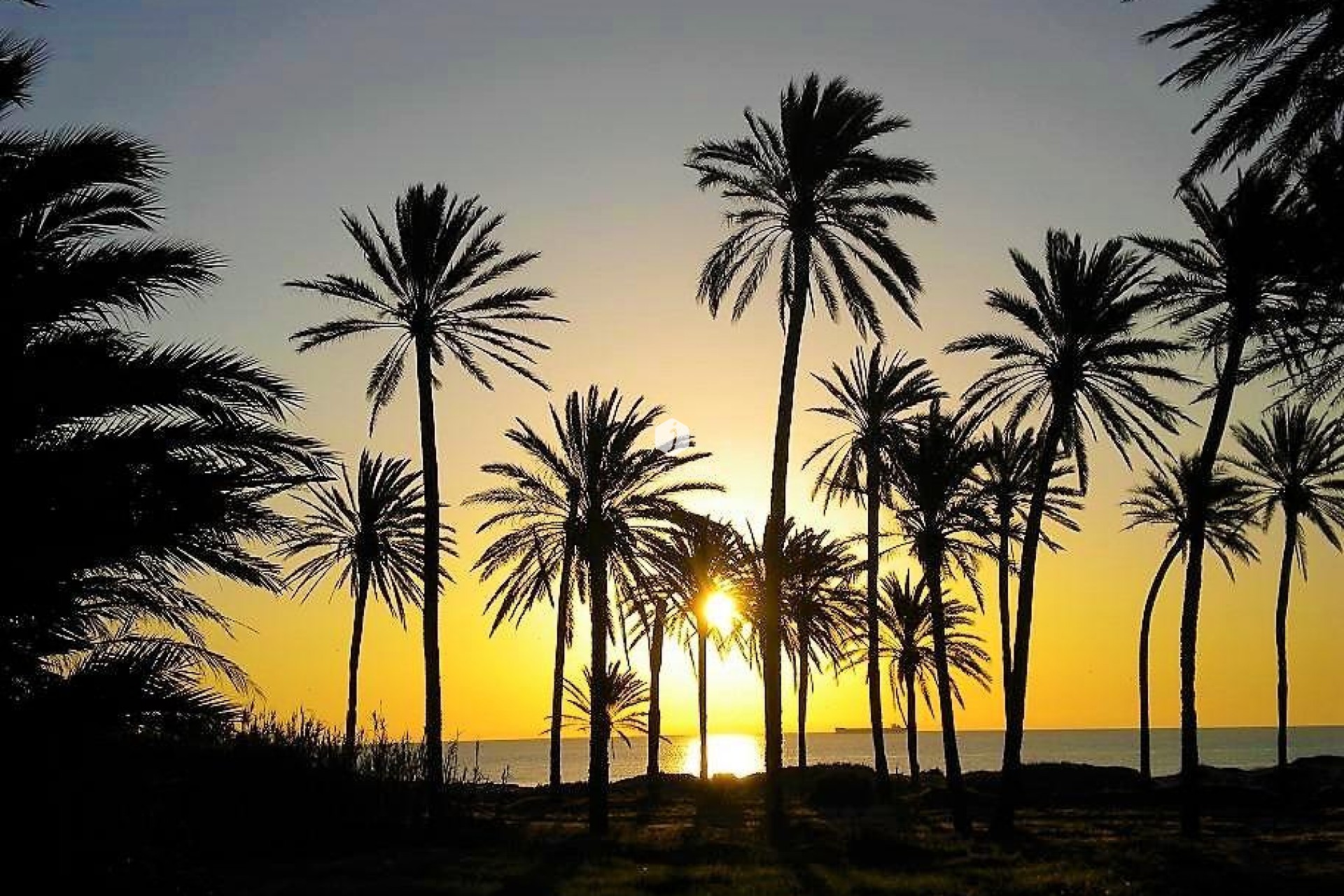 Resale - Apartment / flat -
Torrevieja - Centro