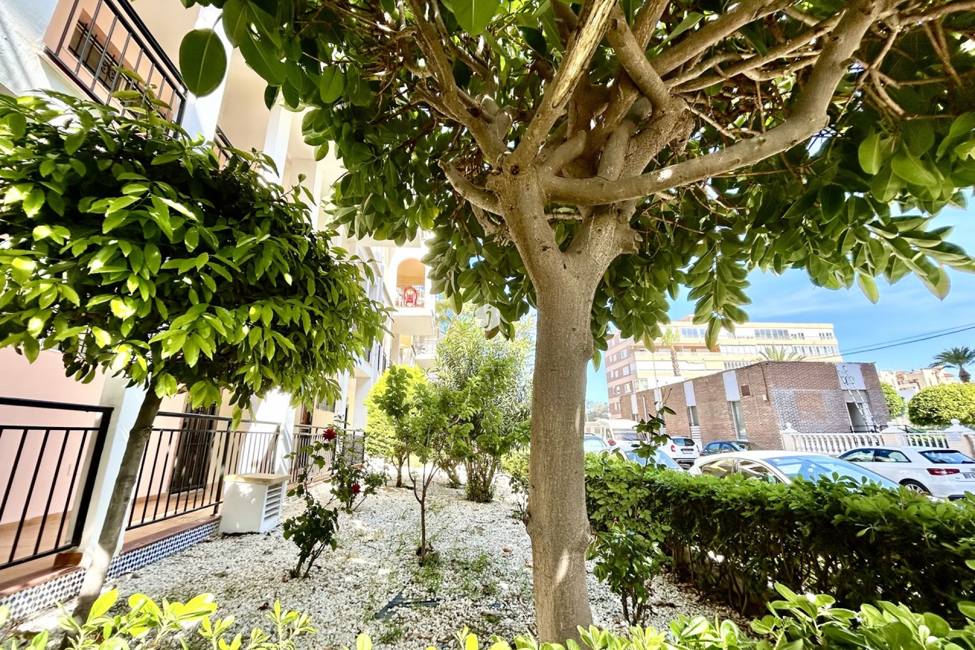 Resale - Apartment / flat -
Torrevieja - Costa Blanca