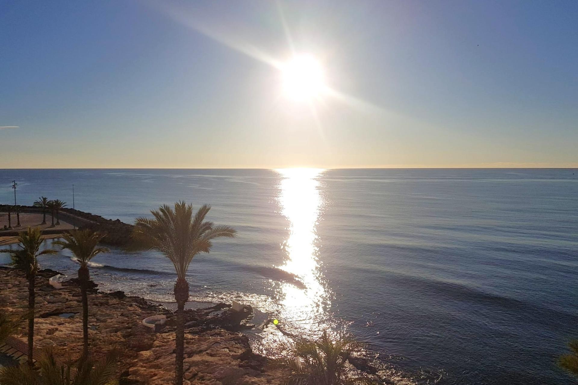 Resale - Apartment / flat -
Torrevieja - Estacion de autobuses