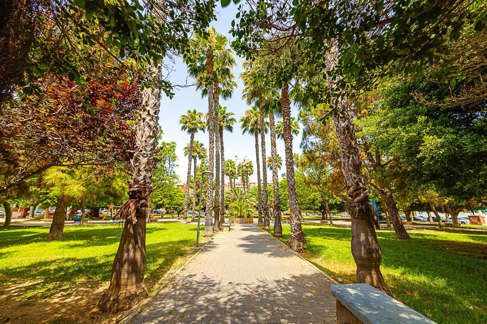 Resale - Apartment / flat -
Torrevieja - Playa de los Naufragos