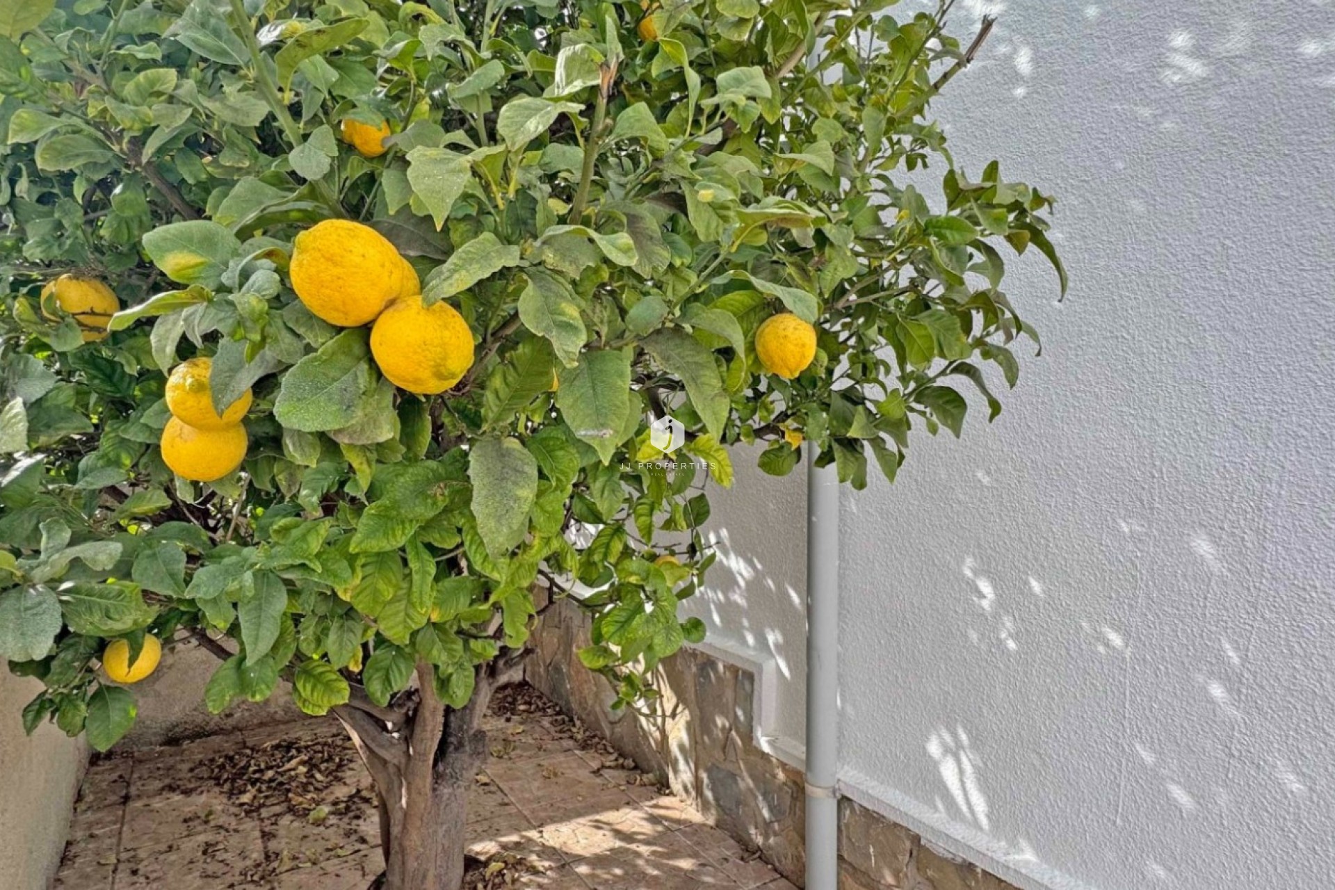 Resale - Chalet -
San Miguel de Salinas - Inland