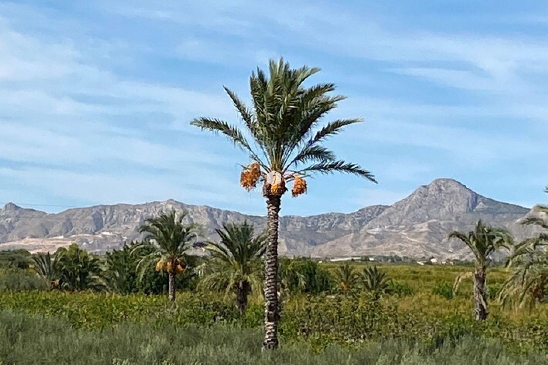 Resale - Country Property -
Albatera - Inland