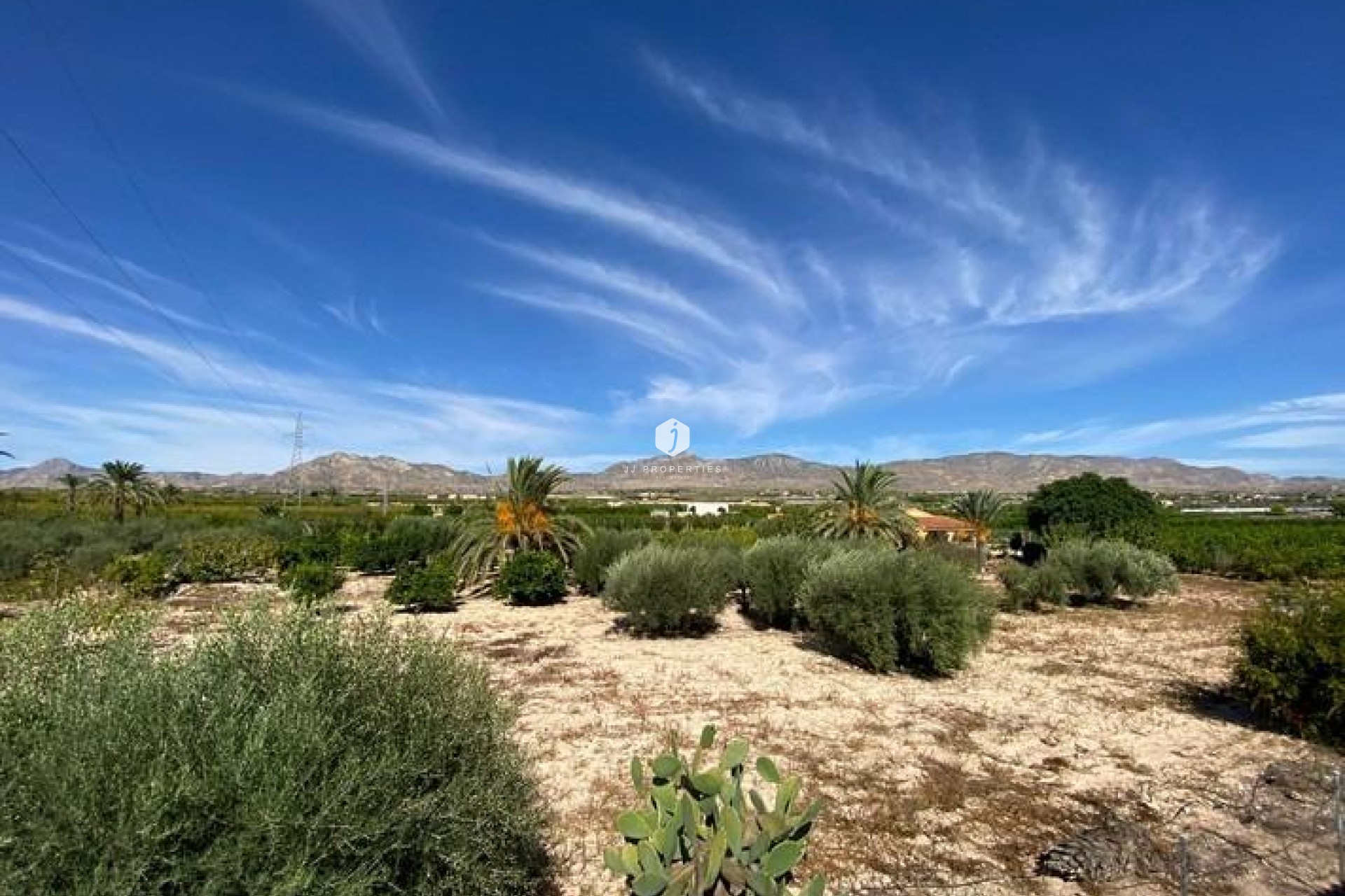 Resale - Villa -
Albatera - Campo De Albatera