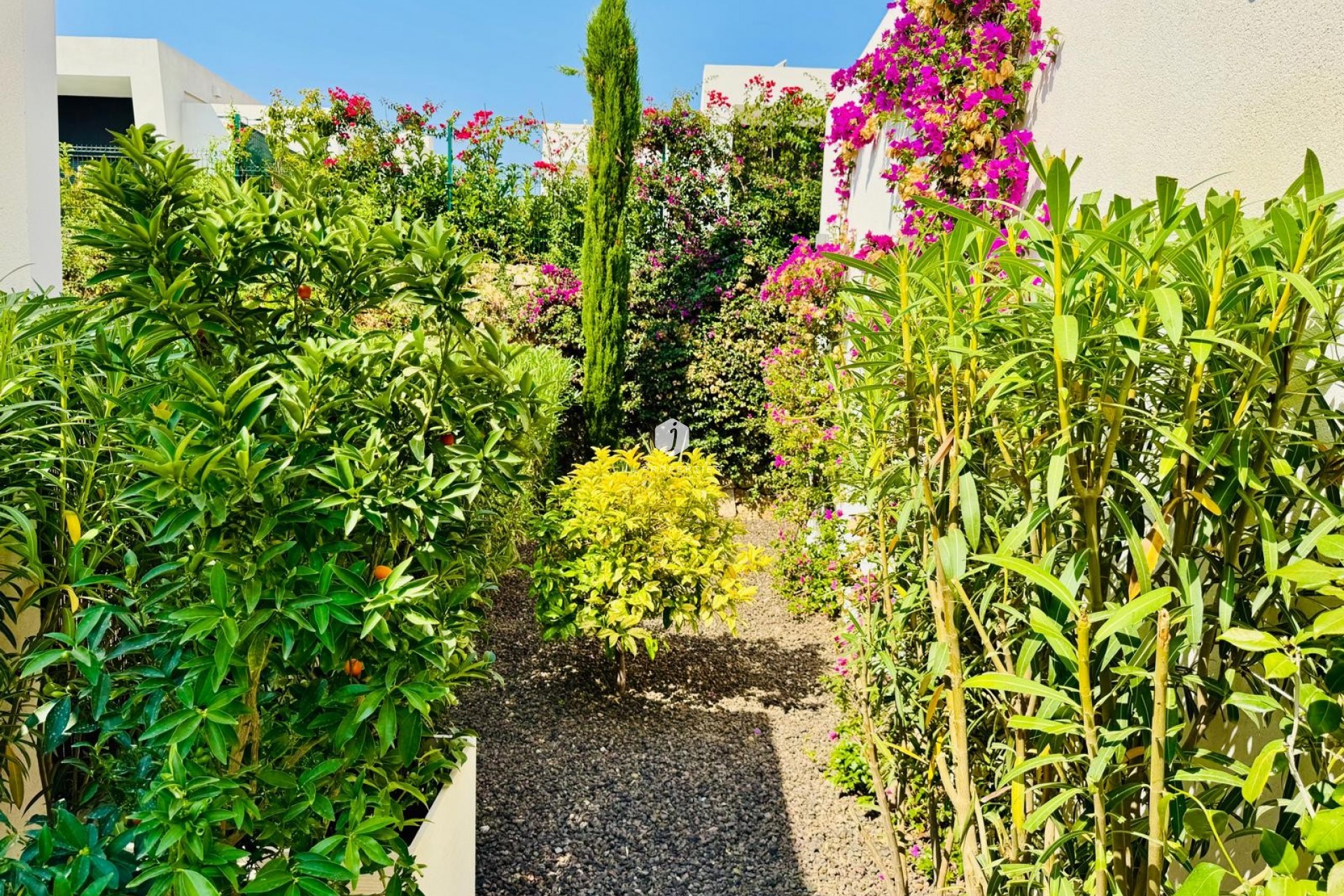 Resale - Villa -
Algorfa - Inland