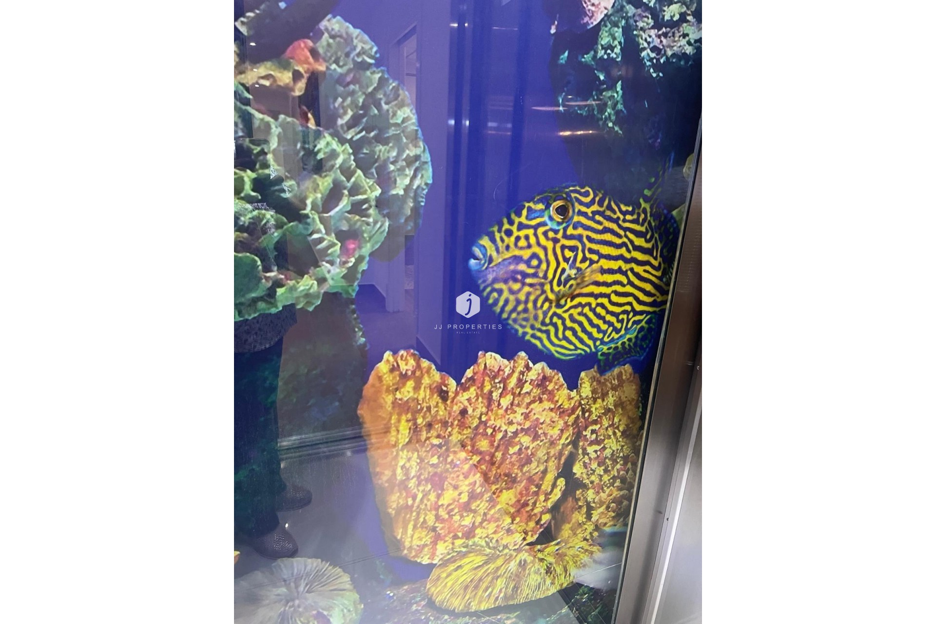 Resale - Villa -
San Miguel de Salinas - Altos De San Miguel