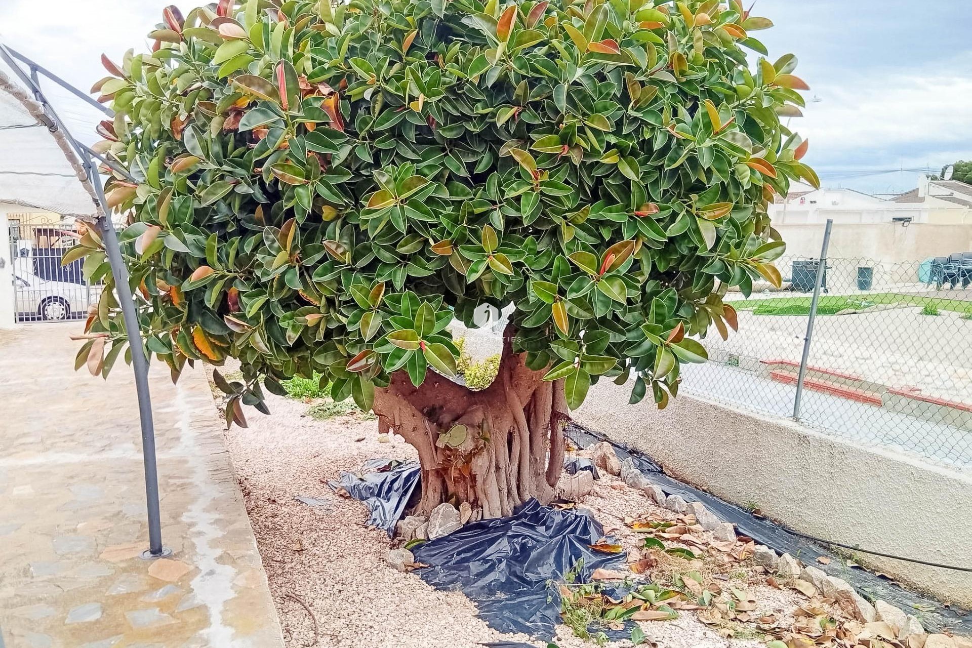 Resale - Villa -
Torrevieja - La Siesta - El Salado - Torreta