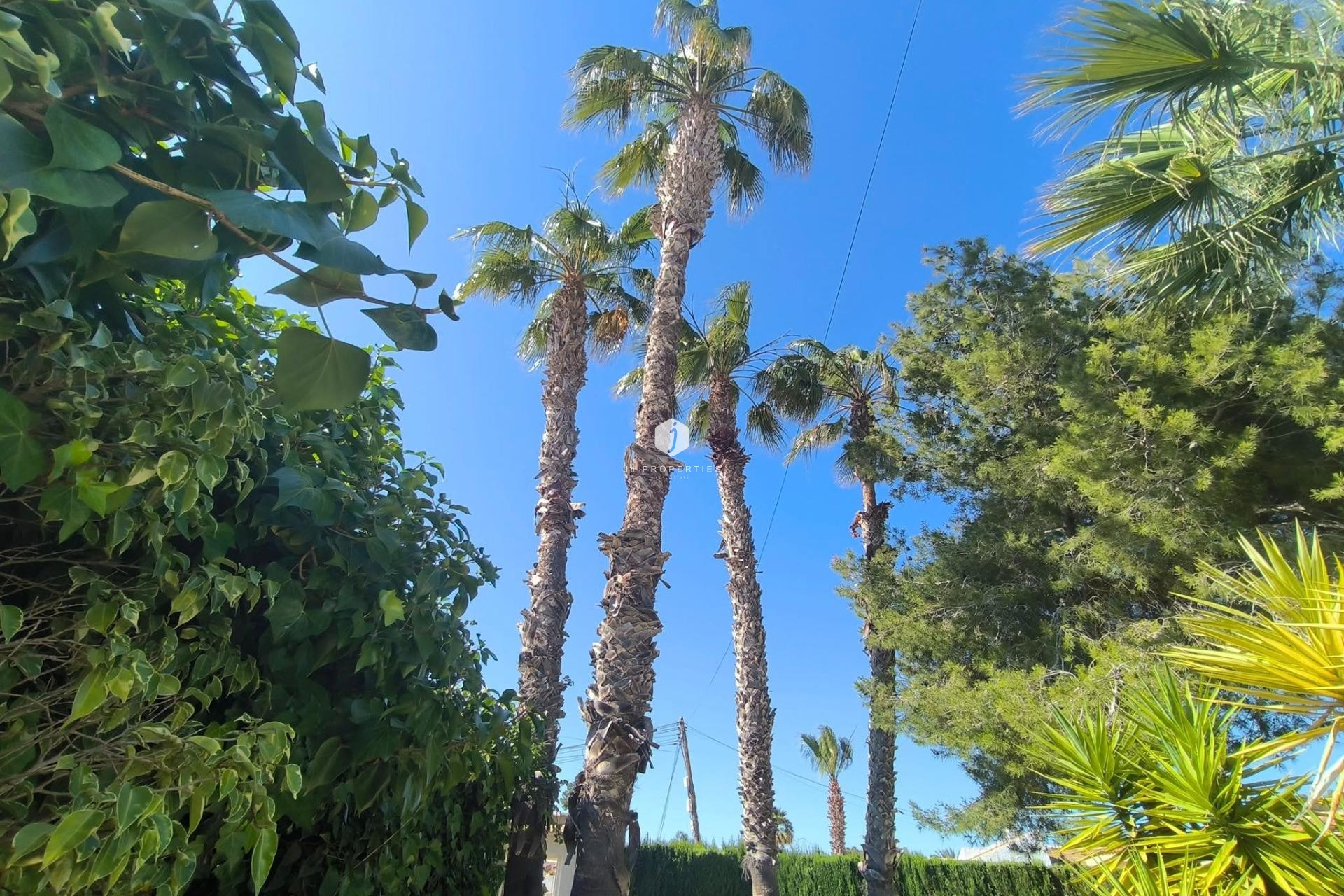 Resale - Villa -
Torrevieja - La siesta