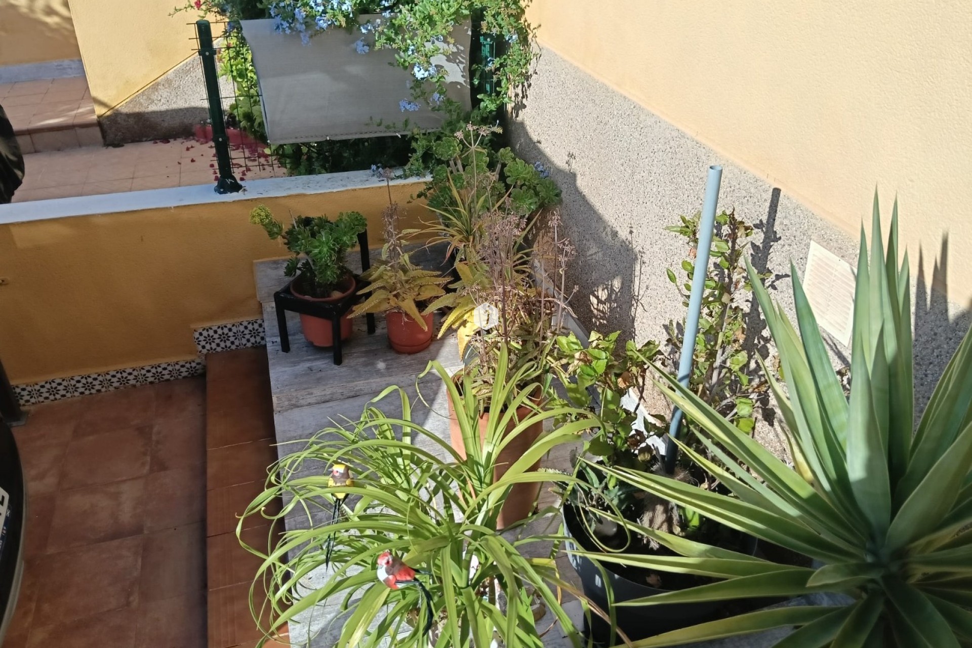 Segunda mano - Apartamento / piso -
Los Montesinos - Costa Blanca