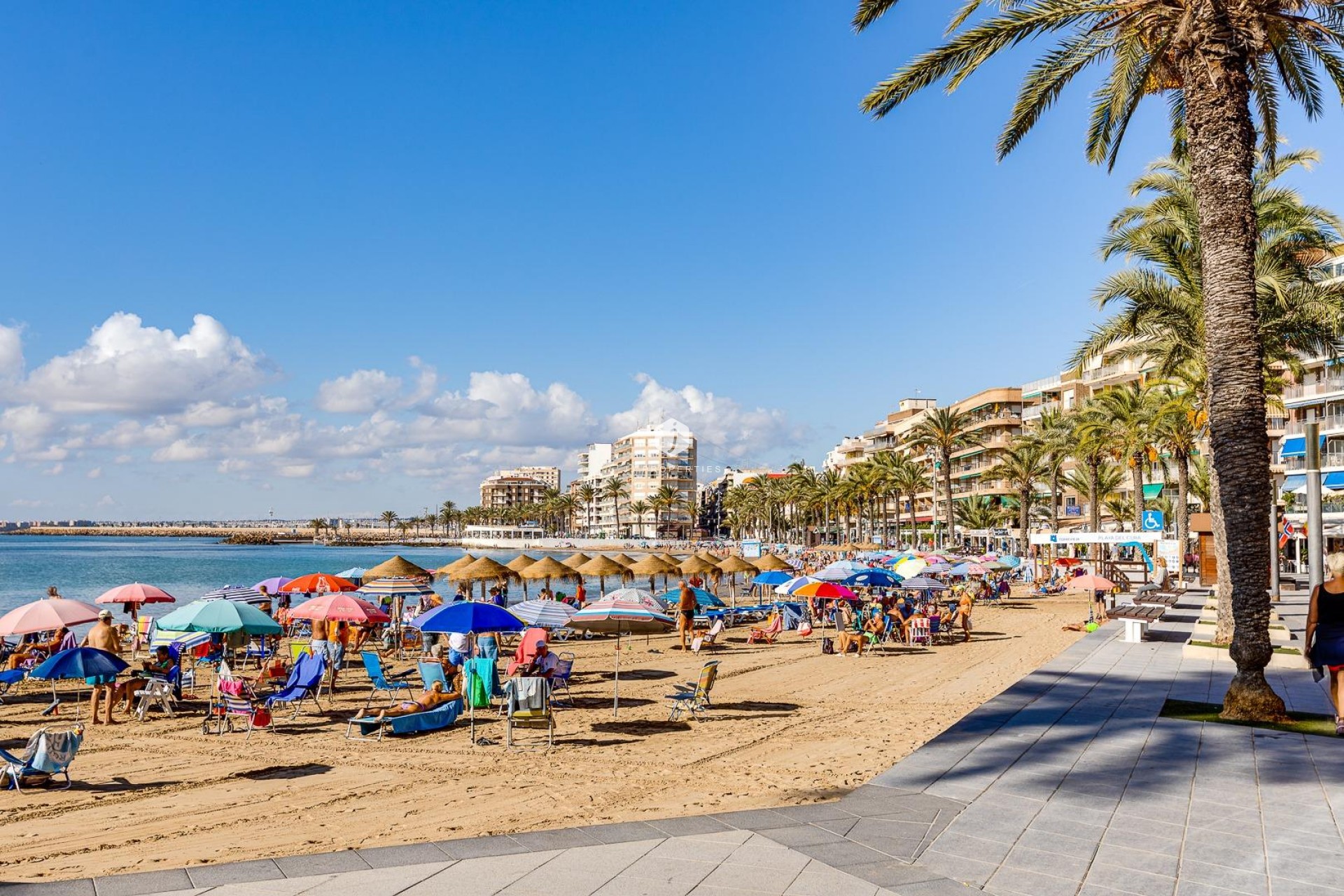Segunda mano - Apartamento / piso -
Torrevieja - Centro