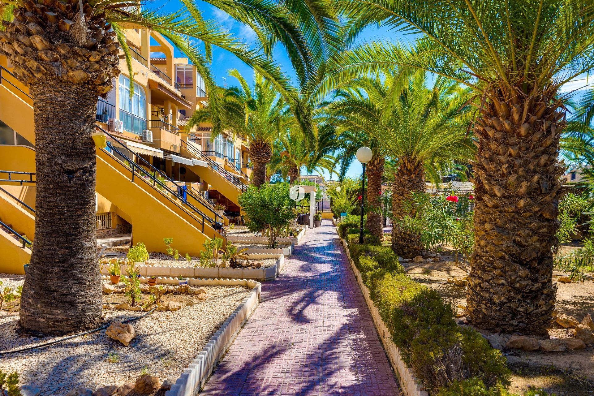 Segunda mano - Apartamento / piso -
Torrevieja - Torreblanca